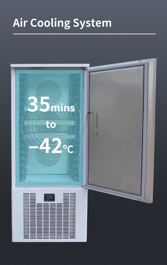 Congelador profissional, resfriador de ar, equipamento de congelamento rápido, 10 bandejas 6