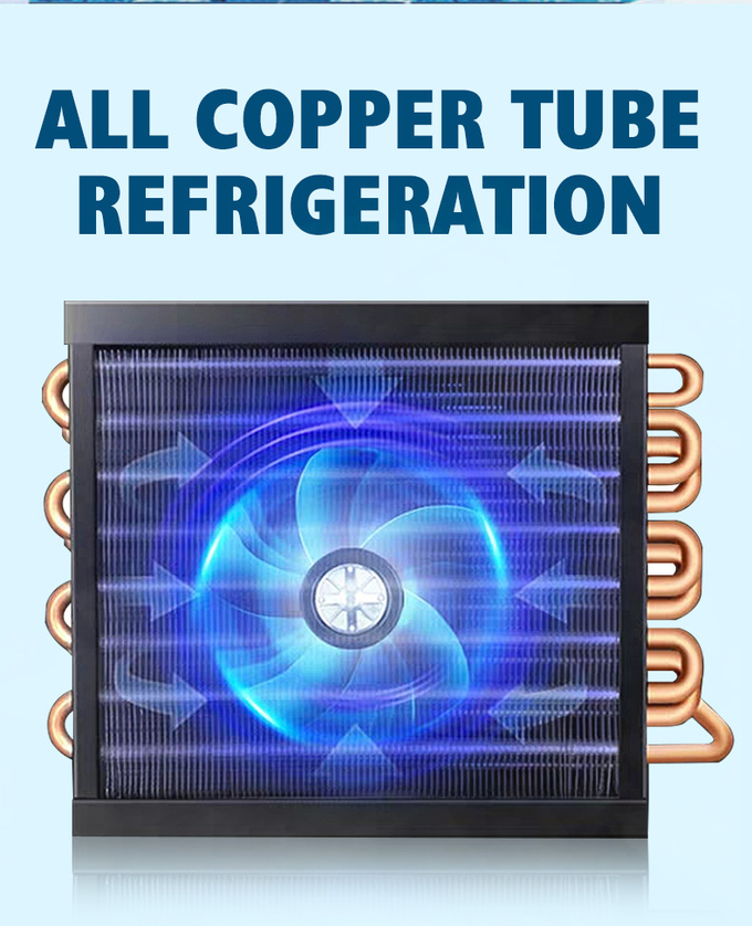 Temperatura de vidro dobro do refrigerador 980L R290 da exposição da porta refrigerar de ar única 1